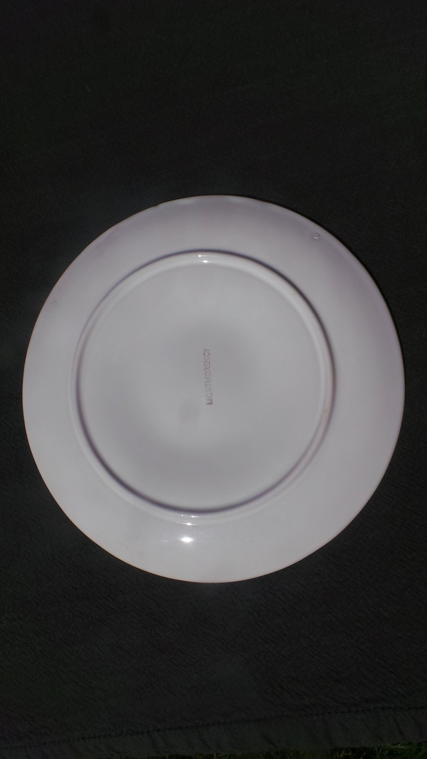 Oyster Plate Montmorency Huitre Mussel Fish Plate Gien White Vintage French Super Condition Seafood Plate Shellfish Plate Oyster Plate
