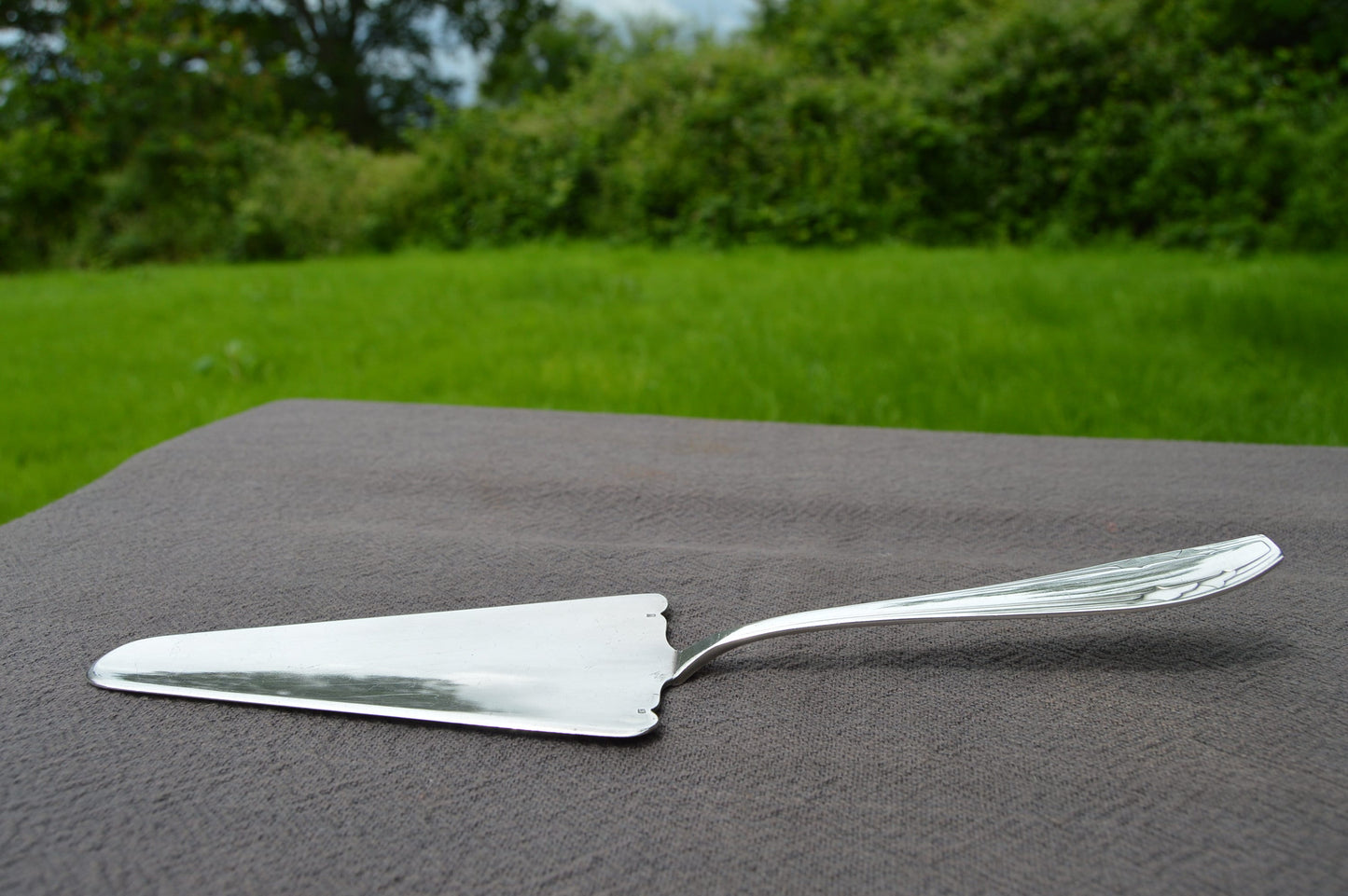Apollo Cake Slice Beautiful Silver Plated 'Metaille Blanc' Marked VA Apollo Real Luxury Cake Knife Table Cake Cutter France Made