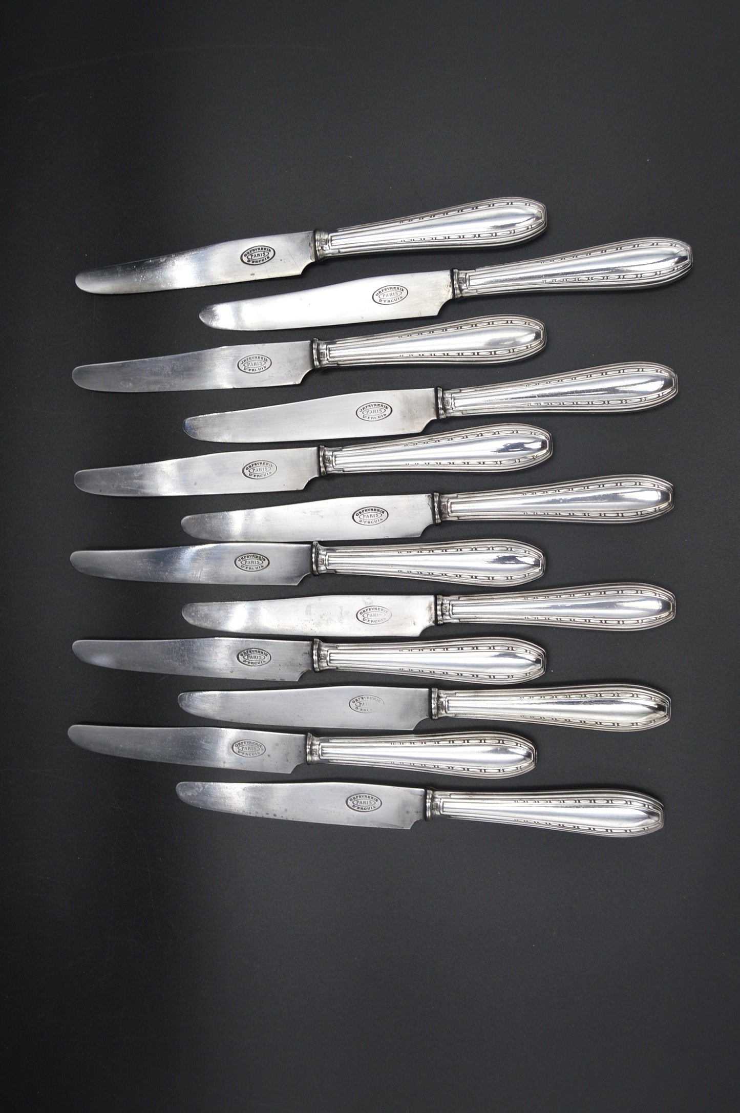 Ercuis Argent Plaqué 'Métaille Blanc' Ensemble de 12 Couteaux Véritable Luxe Fabriqué par Ercuis de Paris 12 Douze Super Ensemble de Couteaux Marqué Ercuis Paris